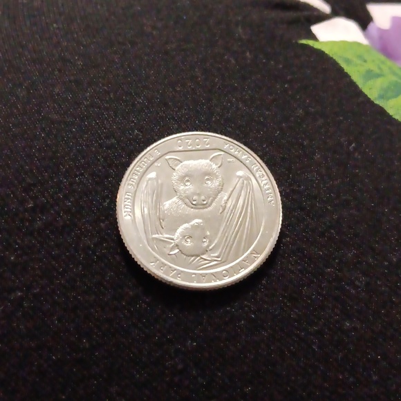 2020 Bat quarter! - Picture 1 of 4